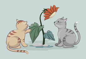 卡通猫咪玩耍