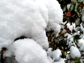 冰雪覆盖
