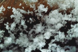 雪花结晶