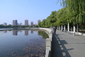公园风景 