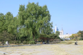 公园风景 