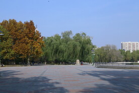 公园风景  