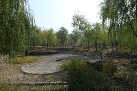  公园风景 