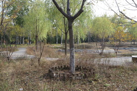 公园风景 
