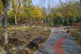 公园风景 