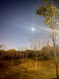 远处月亮夜色