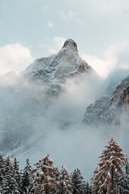 雾气山风景图