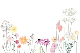 手绘花卉