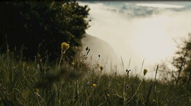 自然风景