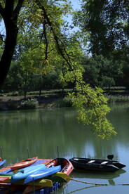 龙潭中湖风景