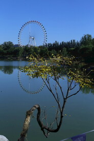 龙潭中湖风景 