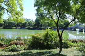 龙潭中湖风景