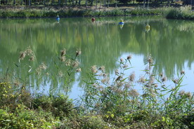 龙潭中湖风景