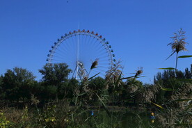 龙潭中湖风景