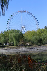 龙潭中湖风景