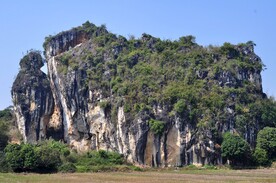鸟儿山