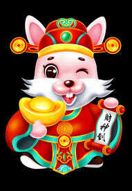 兔年
