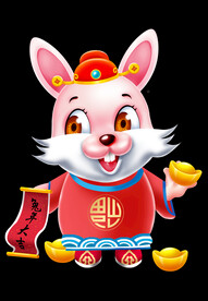兔年