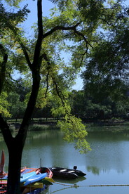 龙潭中湖风景 
