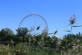 龙潭中湖风景 