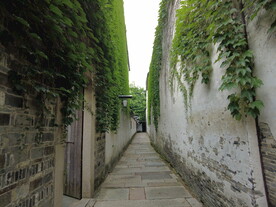 狭窄旧过道复古爬山虎墙