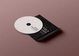 CD黑胶包装样机