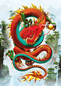 龙