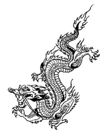 龙