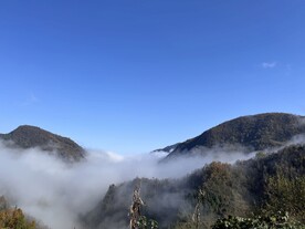 秋景