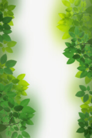 绿色树枝叶子透明背景合成素材