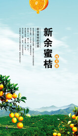 桔子