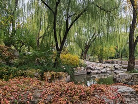 陶然亭风景 