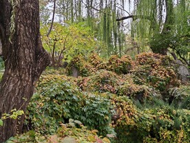 陶然亭风景 