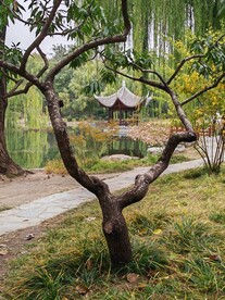 陶然亭风景  