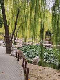 陶然亭风景 