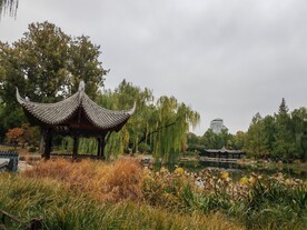 陶然亭风景 