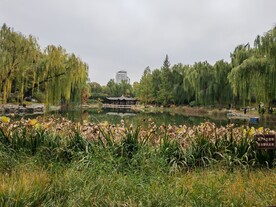 陶然亭风景  