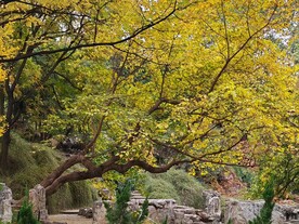 陶然亭风景