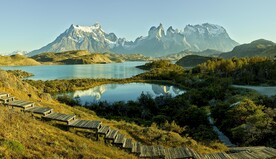 飞思风景