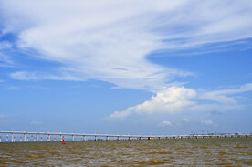 大海