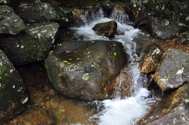 山泉水