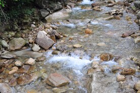 山泉水