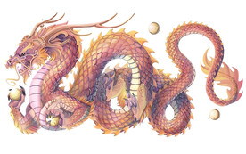 龙