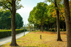 公园风景