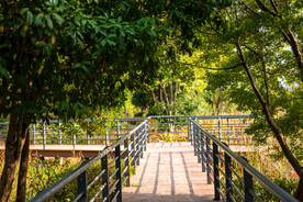 公园风景