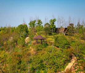 公园风景 