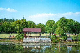公园风景 