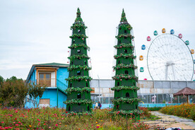 公园风景