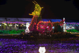 灯光节 
