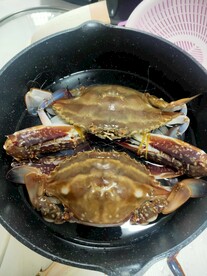 梭子蟹